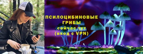 а пвп мука Алзамай