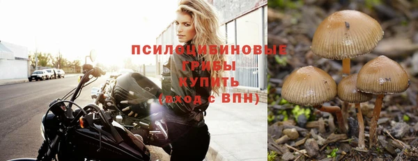 эйфоретик Елизово