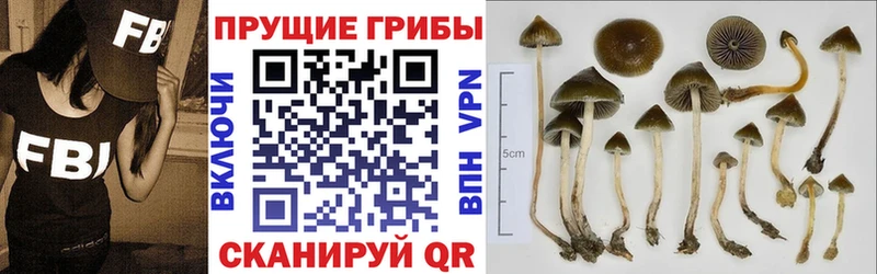 Галлюциногенные грибы прущие грибы  Почеп 